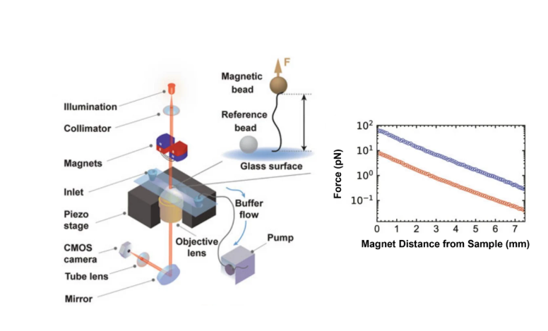 Experiment & Equipment