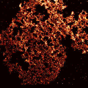 single-molecule fluorescence