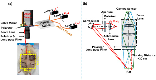  The Dhyana 400BSI served as the two-dimensional detector, recording the spatial speckle data required for blood-flow and oxygenation mapping.