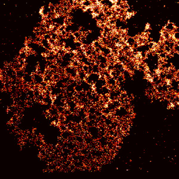 Single-Molecule Imaging