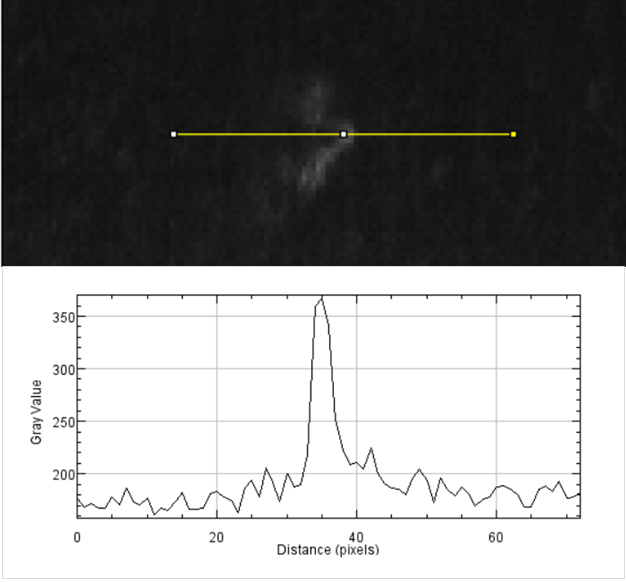Scientific-grade Quantitative Imaging